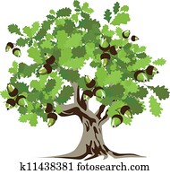 Big green oak tree Big green oak tree