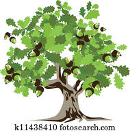 Big green oak tree vector illustrat