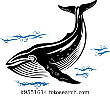 Big whale Big whale