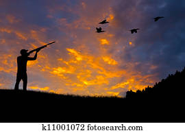 Bird Hunting Silhouette Bird Hunting Silhouette