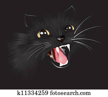 Black cat, vector illustration Black cat, vector illustration