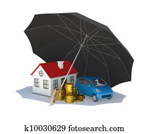 Black umbrella covers home, car and money