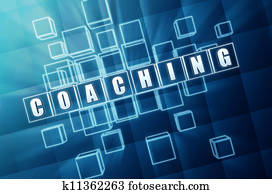 blue coaching in glass blocks