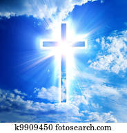 blue cross blue cross