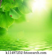 bonito, cena natureza