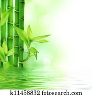 bonito, fresco, bambu