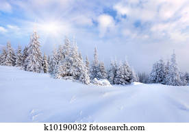 bonito, paisagem inverno, com, neve coberta, árvores.