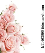 bonito, rosas, borda