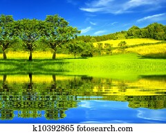 bonito, verde, meio ambiente