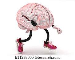 brain brain