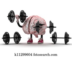 brain brain
