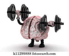 brain brain
