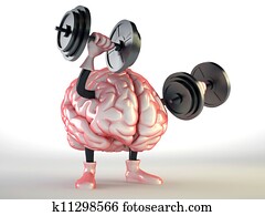 brain brain