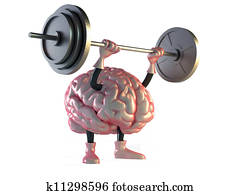 brain brain