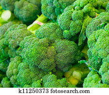 Broccoli Broccoli