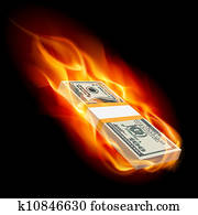Burning dollars Burning dollars