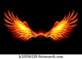 Burning Wings Burning Wings