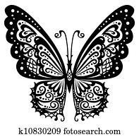 Butterfly Butterfly