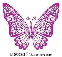 Butterfly Butterfly