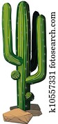 cactus cactus
