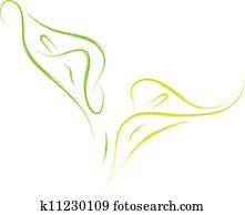 calla lilien, blumen calla lilien, blumen