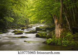 calmo, grandes montanhas esfumaçadas parque nacional, nebuloso, Tremont, rio, relaxante, paisagem natureza, scenics, perto, Gatlinburg, tn