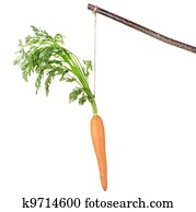 Carrot on a stick Carrot on a stick