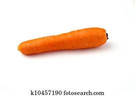 Carrot Carrot