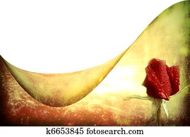 cartão, amor, rosa vermelha, broto