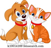 Cat and Dog Cat and Dog