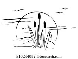 Cattails on illustration Cattails on illustration