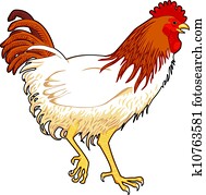 Chicken Chicken