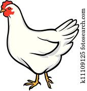chicken chicken