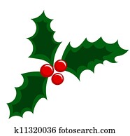 christdornbeere christdornbeere