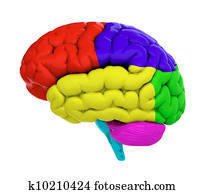 Colored brain Colored brain