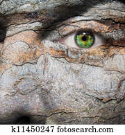Conceptual image of a face with a bark skin Conceptual image of a face with a bark skin