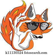 Cool fox Cool fox