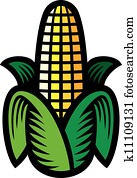 Corn Corn