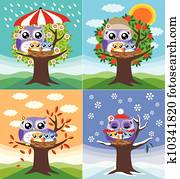 corujas, em, quatro estações