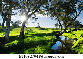 Country Stream Country Stream