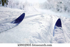 Cross Country Ski Cross Country Ski