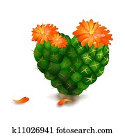 Cute Heart Cactus Isolated on White Cute Heart Cactus Isolated on White