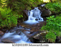 córrego montanha, em, a, madeiras, em, primavera