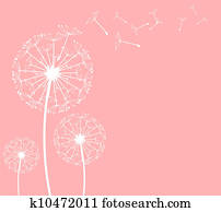 dandelion dandelion
