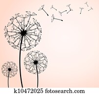 dandelion dandelion