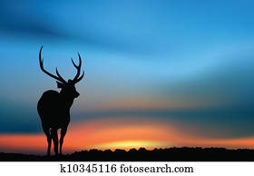 Deer at the sunset Deer at the sunset