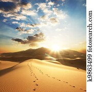 Desert Desert
