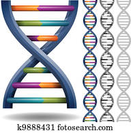 DNA DNA