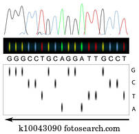 dns, sequencing dns, sequencing