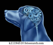 Dog Intelligence Dog Intelligence